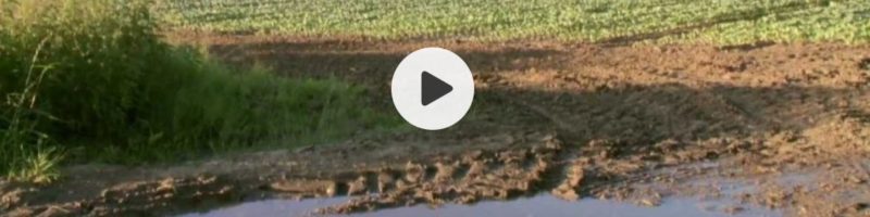 Televizní pořad Nedej se o půdě a Nadaci Pro půdu