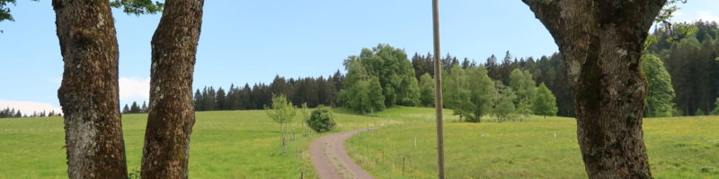 Přístup k půdě pro agroekologické zemědělce v Německu