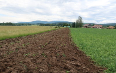 Výsledky průzkumu: člověk a vztah k půdě a krajině