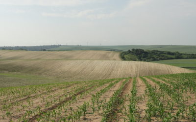 Společné prohlášení odborníků k péči o půdu a vodní zdroje