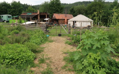 Návštěva pozemků ve Valči: rozmanitá krajina a rozvoj komunitou podporovaného zemědělství