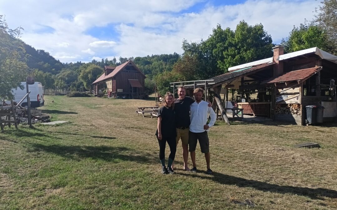 V ČR vznikla druhá inkubační farma. Jak podobné farmy fungují v zahraničí?