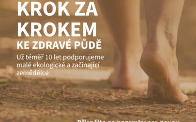 Krok za krokem ke zdravé půdě
