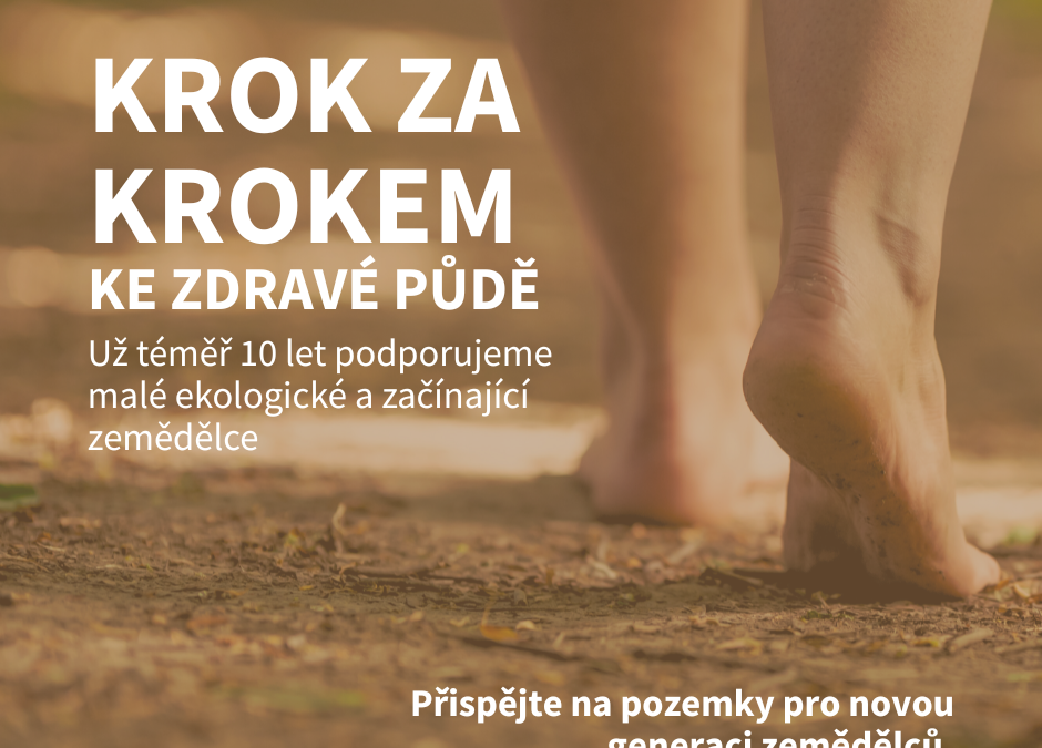 Krok za krokem ke zdravé půdě