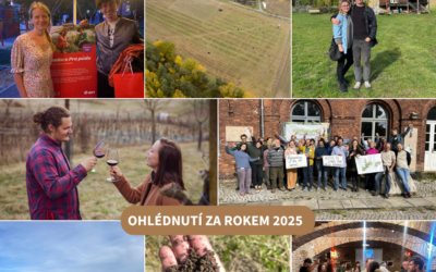 Ohlednutí za rokem 2025