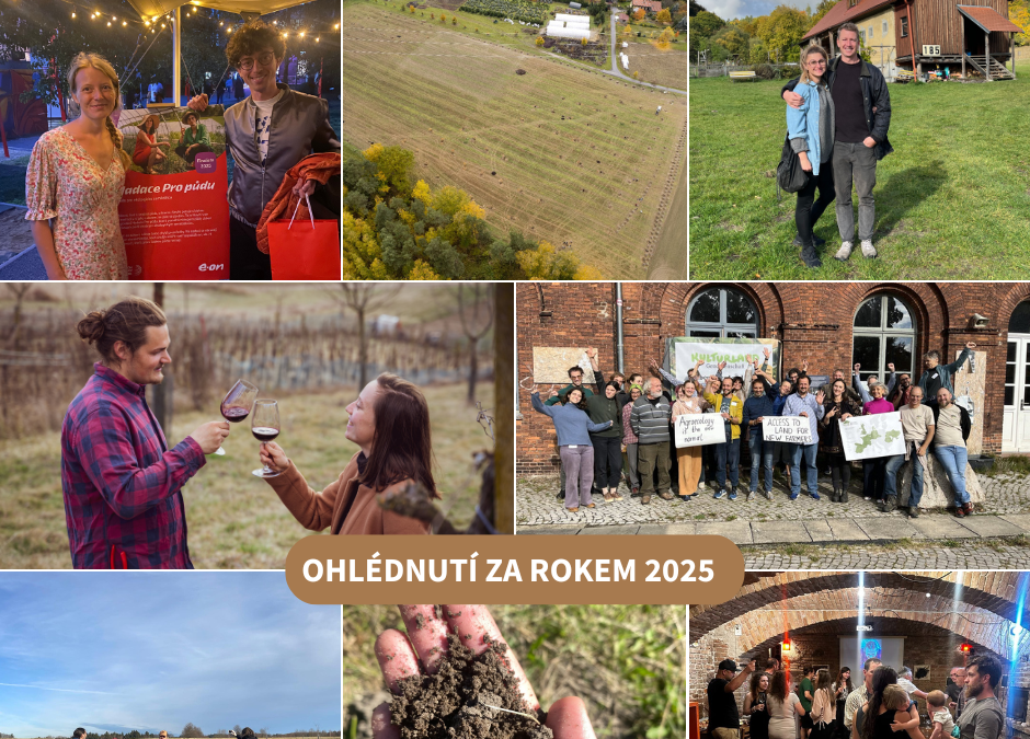 Ohlednutí za rokem 2025
